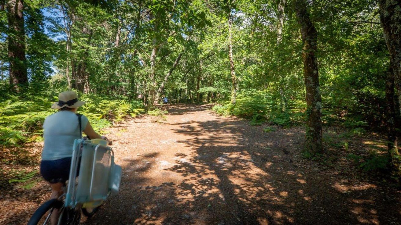 Camping Ares Exterior photo